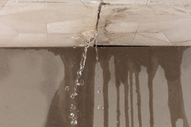 Professional Structural Drying technician working in Mineral Bluff, GA